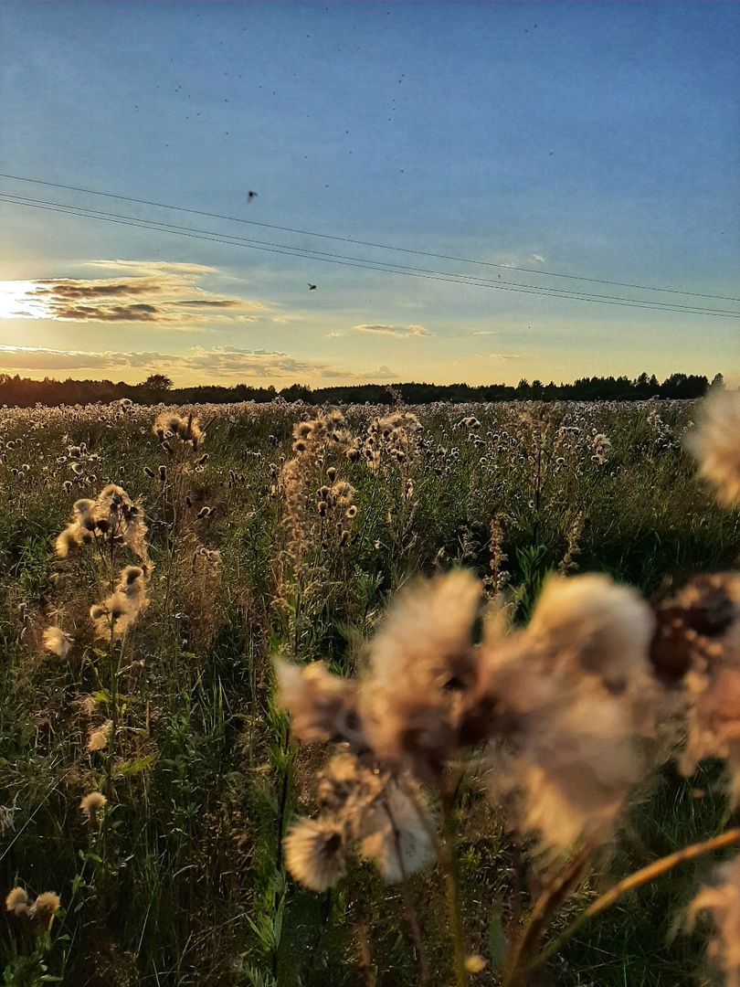 Изображения.