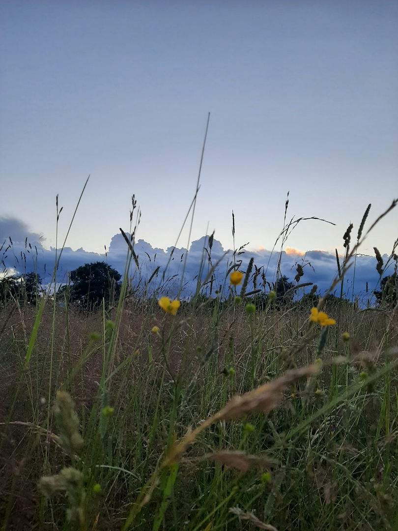 Изображения.