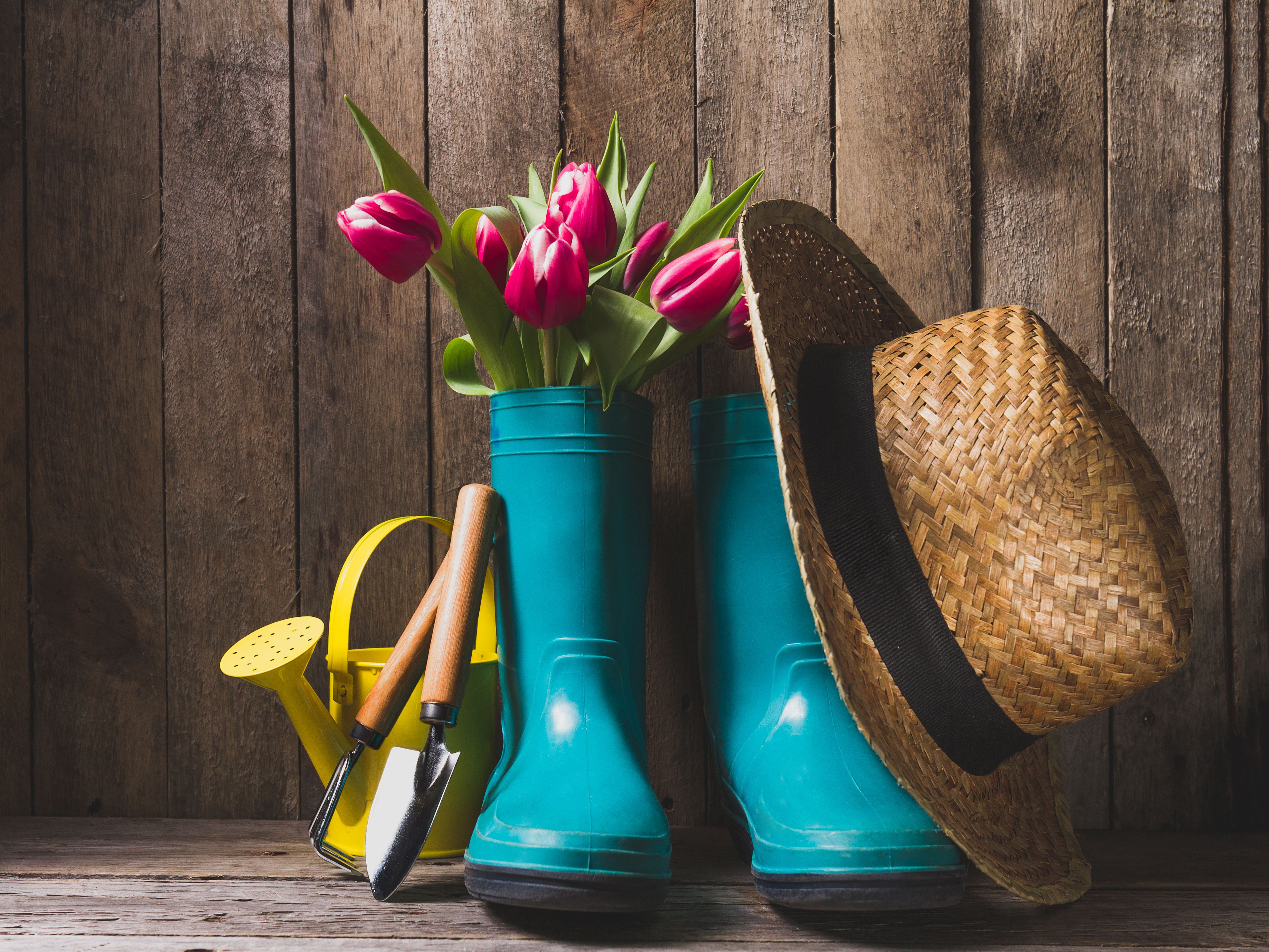 Весенняя сельскохозяйственная ярмарка.