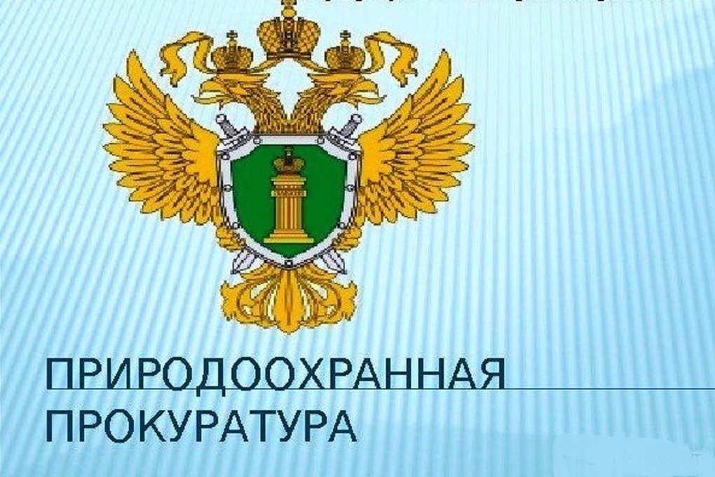 Новгородская межрайонная природоохранная прокуратура информирует.