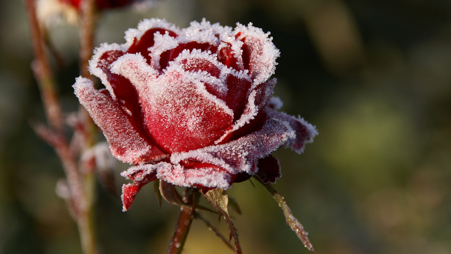 Предупреждение об опасном погодном явлении от 21.05.2024 г..