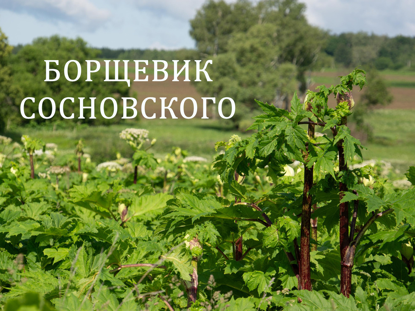 ВНИМАНИЕ ЗЕМЛЕПОЛЬЗОВАТЕЛЕЙ!.