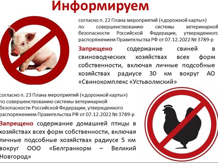 Внимание!.