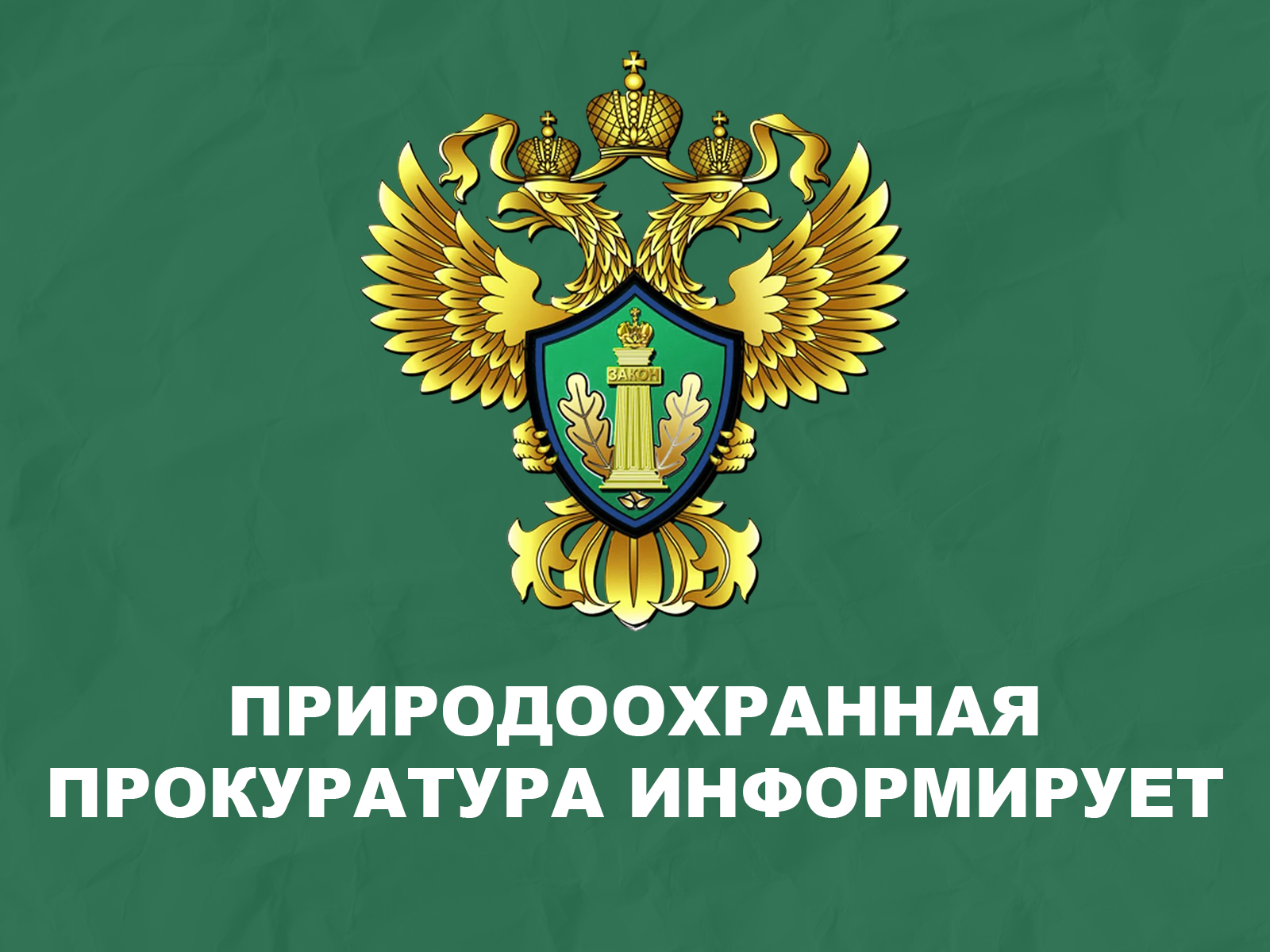Новгородская межрайонная природоохранная прокуратура информирует.