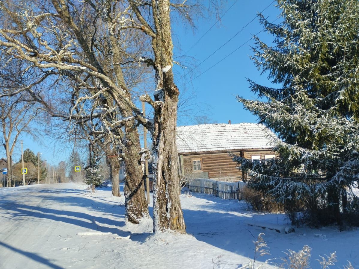 Комитет ЖКХ провёл обследование аварийных деревьев в деревне Берёзка после собрания жителей.