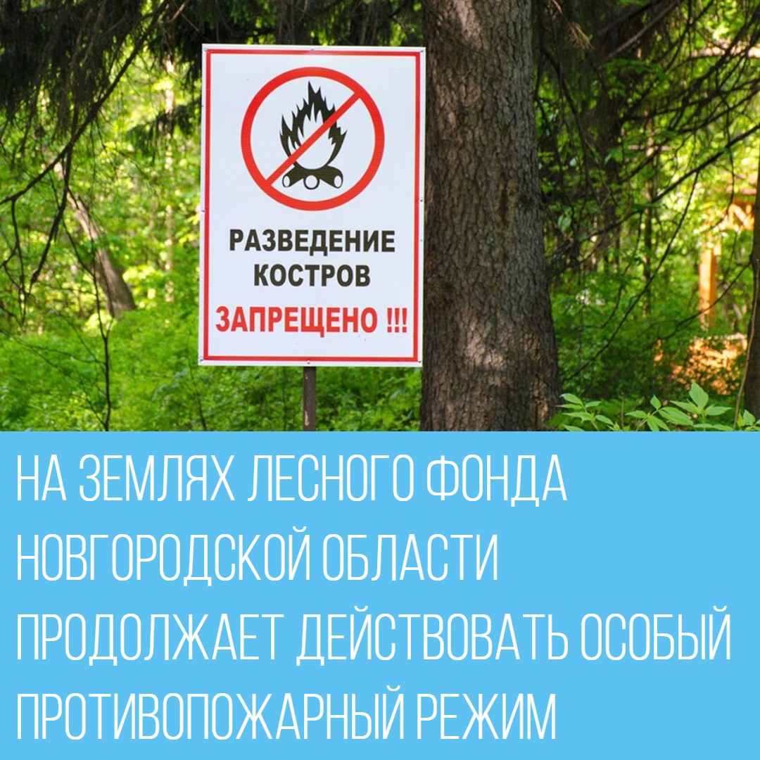 Особый противопожарный режим на землях лесного фонда расположенных на территории Новгородской области продолжает действовать!.