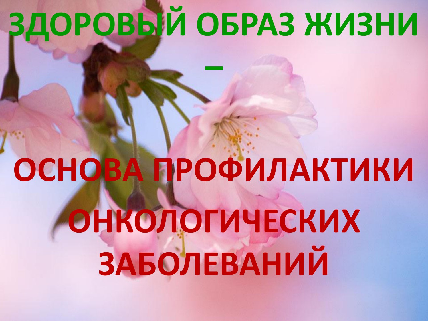 Профилактика онкологических заболеваний..