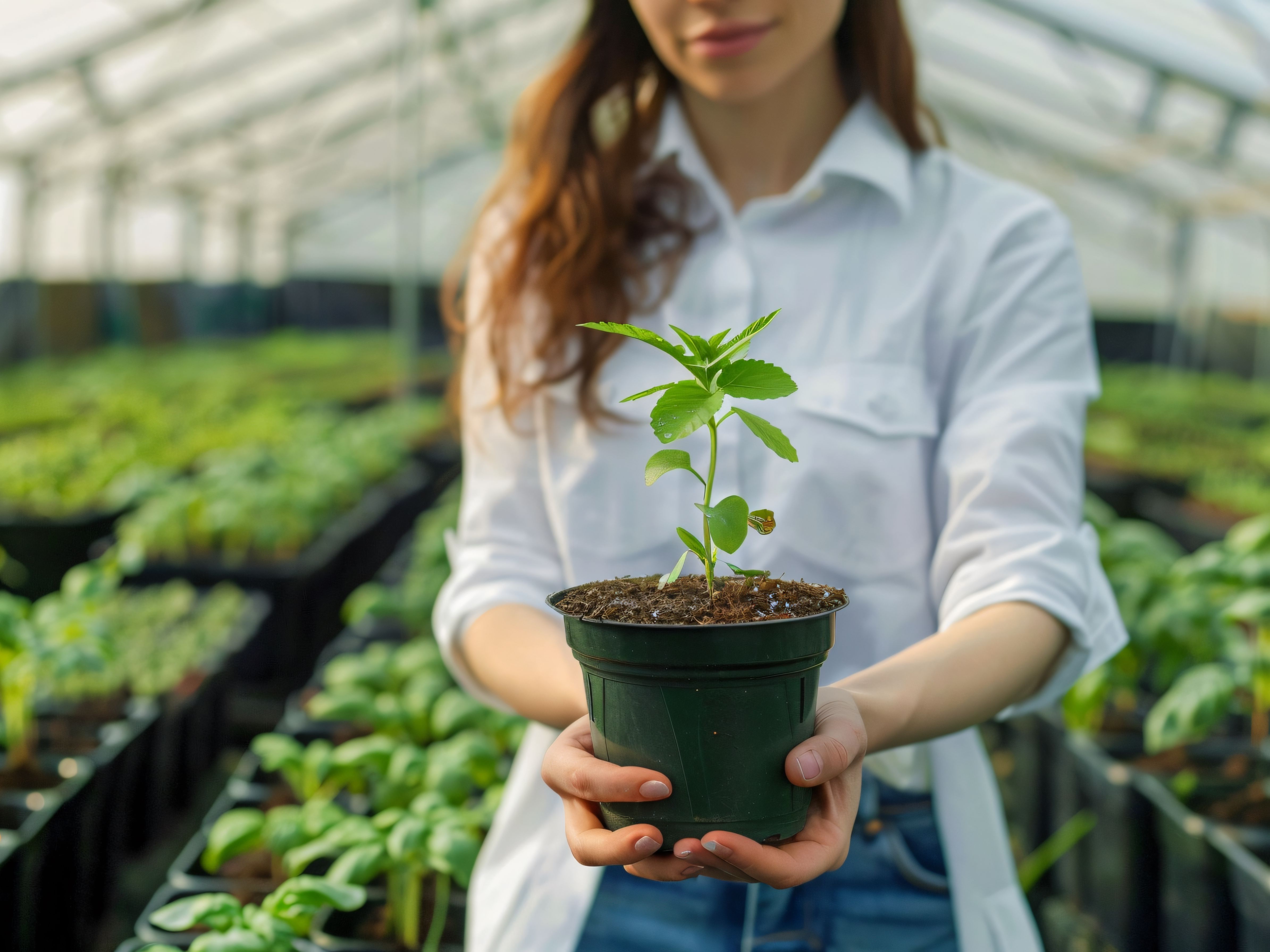 Уважаемые жители и гости Крестецкого муниципального округа!.