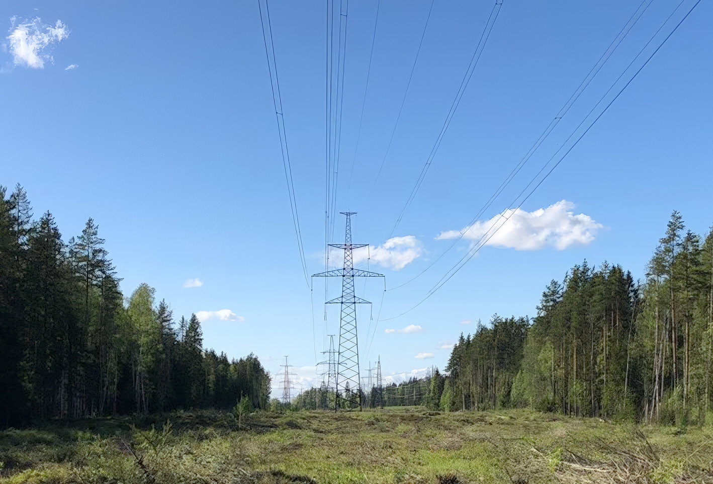 Филиал ПАО «Россети» в этом году расчистит порядка 2 тыс.  га трасс магистральных энерготранзитов в Псковской и Новгородской областях.