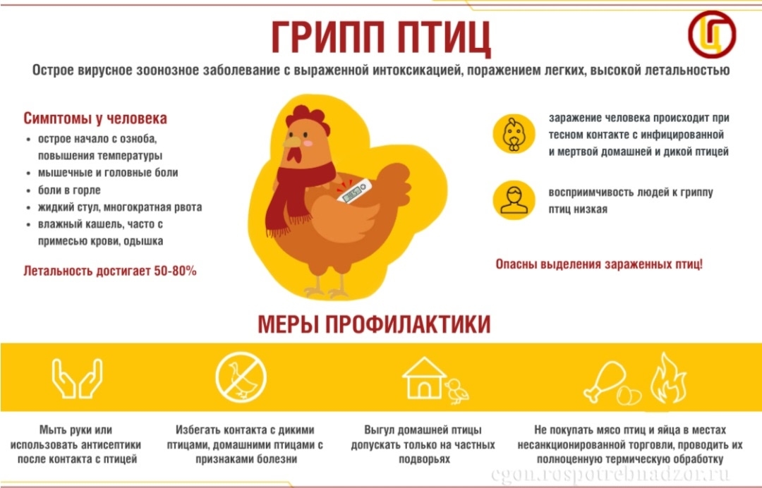 Птичий грипп.