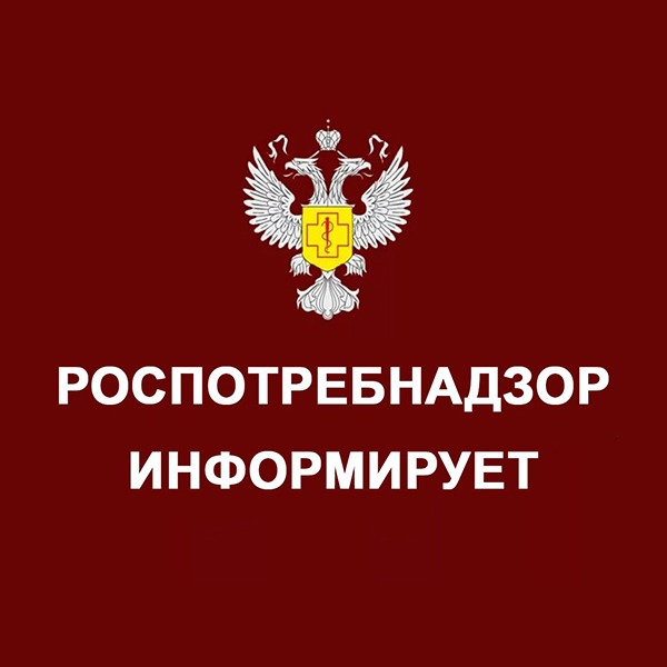 Готовимся к школе: как наладить питание ребенка.